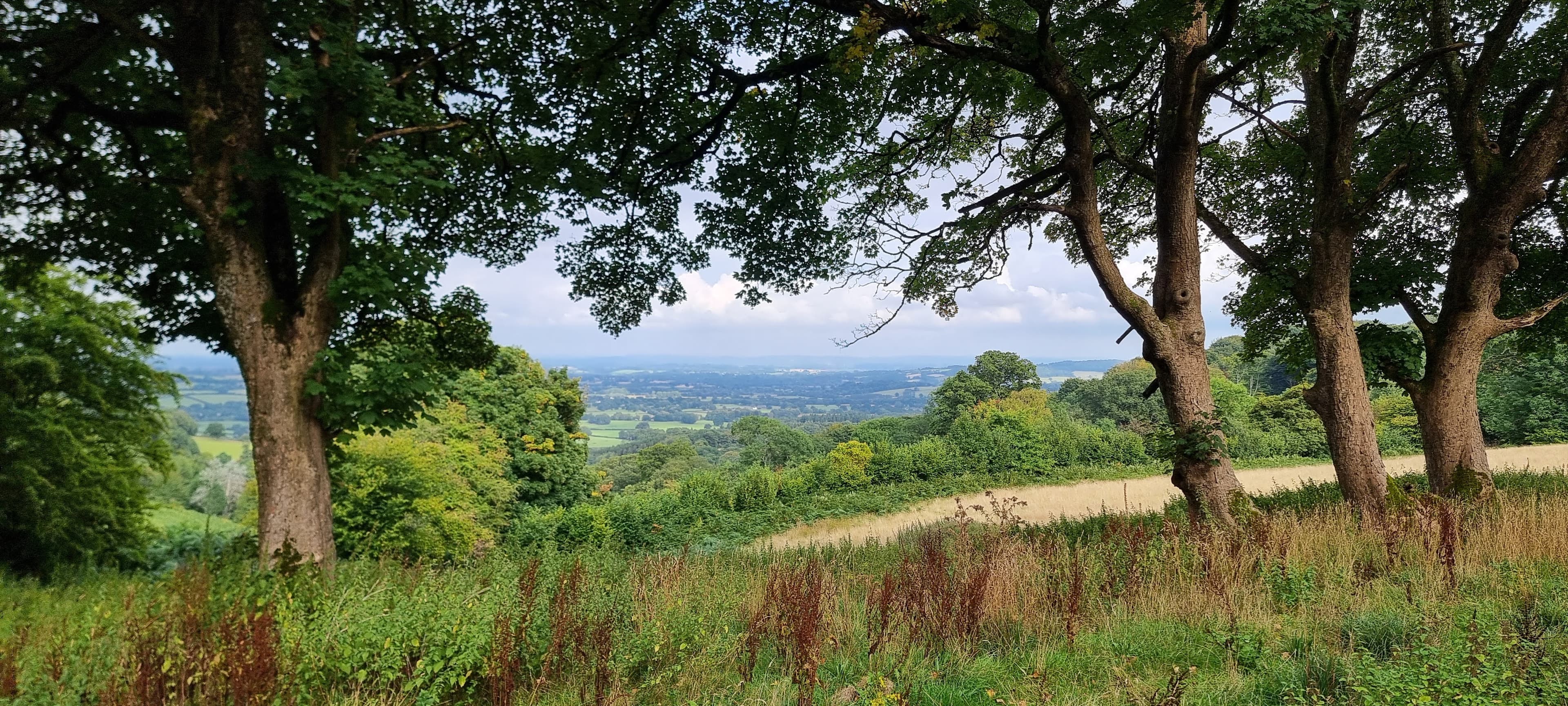 Looking out from beneath the trees across the valley below the Blorenge